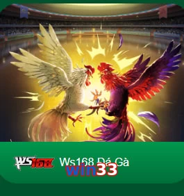 win33